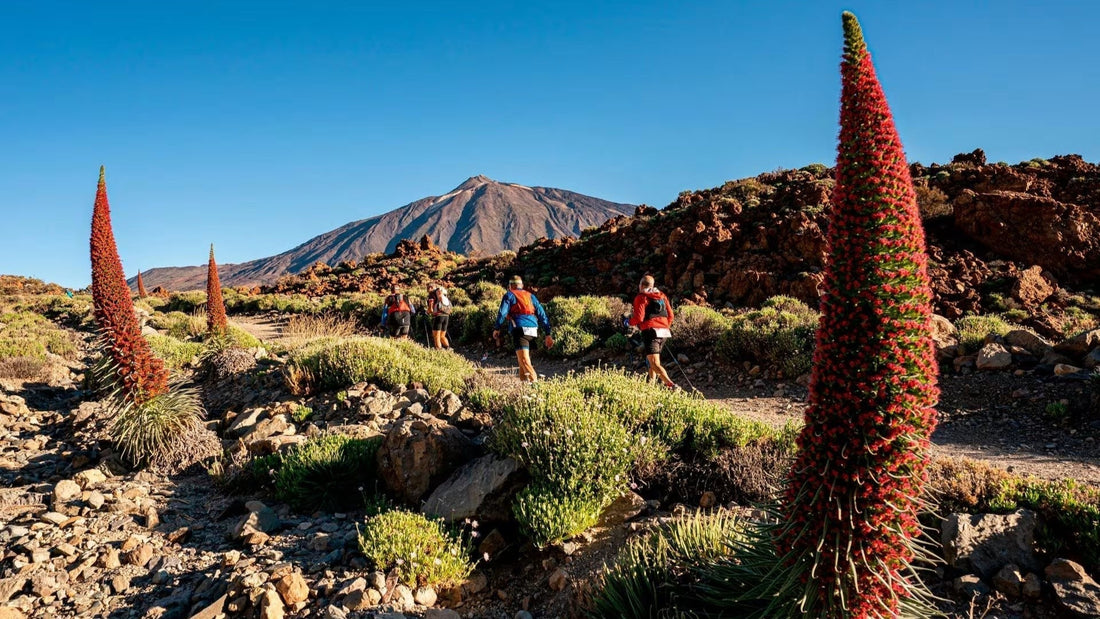 Tenerife Bluetrail 2026 abre sus inscripciones la próxima semana
